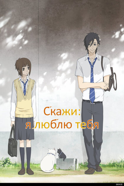 Постер Скажи: я люблю тебя